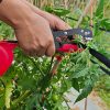 Handheld Plant Tying Machine No. 3 with Tape and Staples