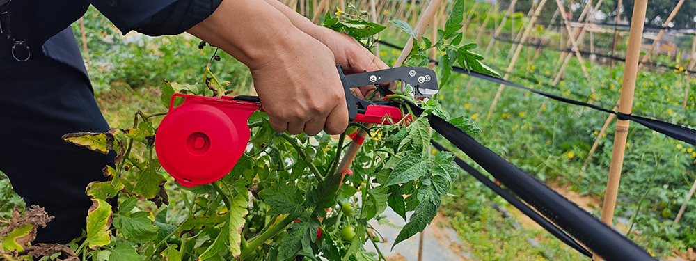 Handheld Plant Tying Machine No. 3 with Tape and Staples