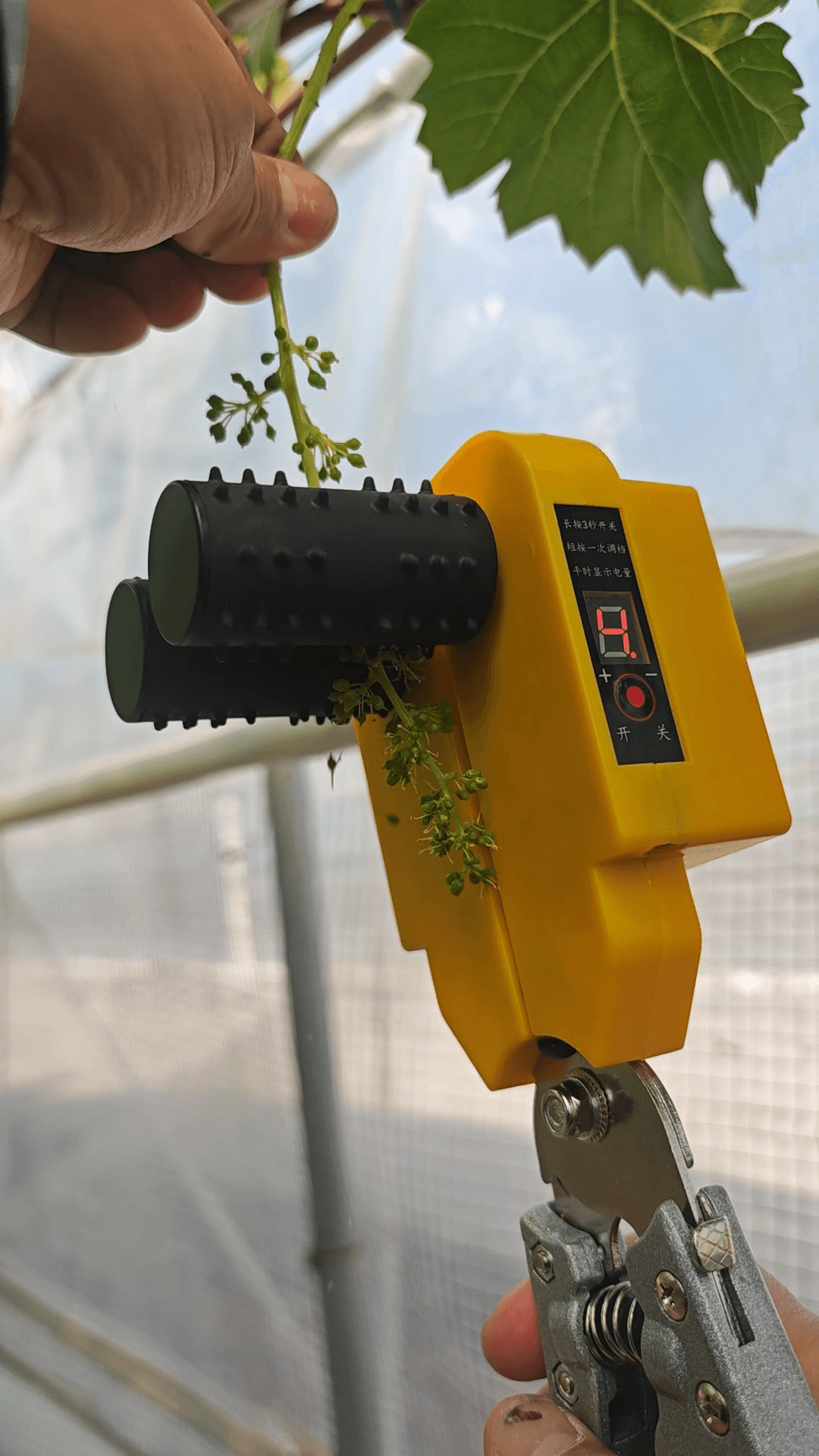 Grape Electric Intelligent Flower Thinner