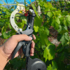 Handheld Plant Tying Machine No. 7 with Tape and Staples
