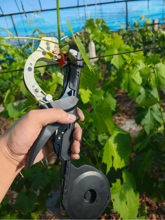 Handheld Plant Tying Machine No. 7 with Tape and Staples