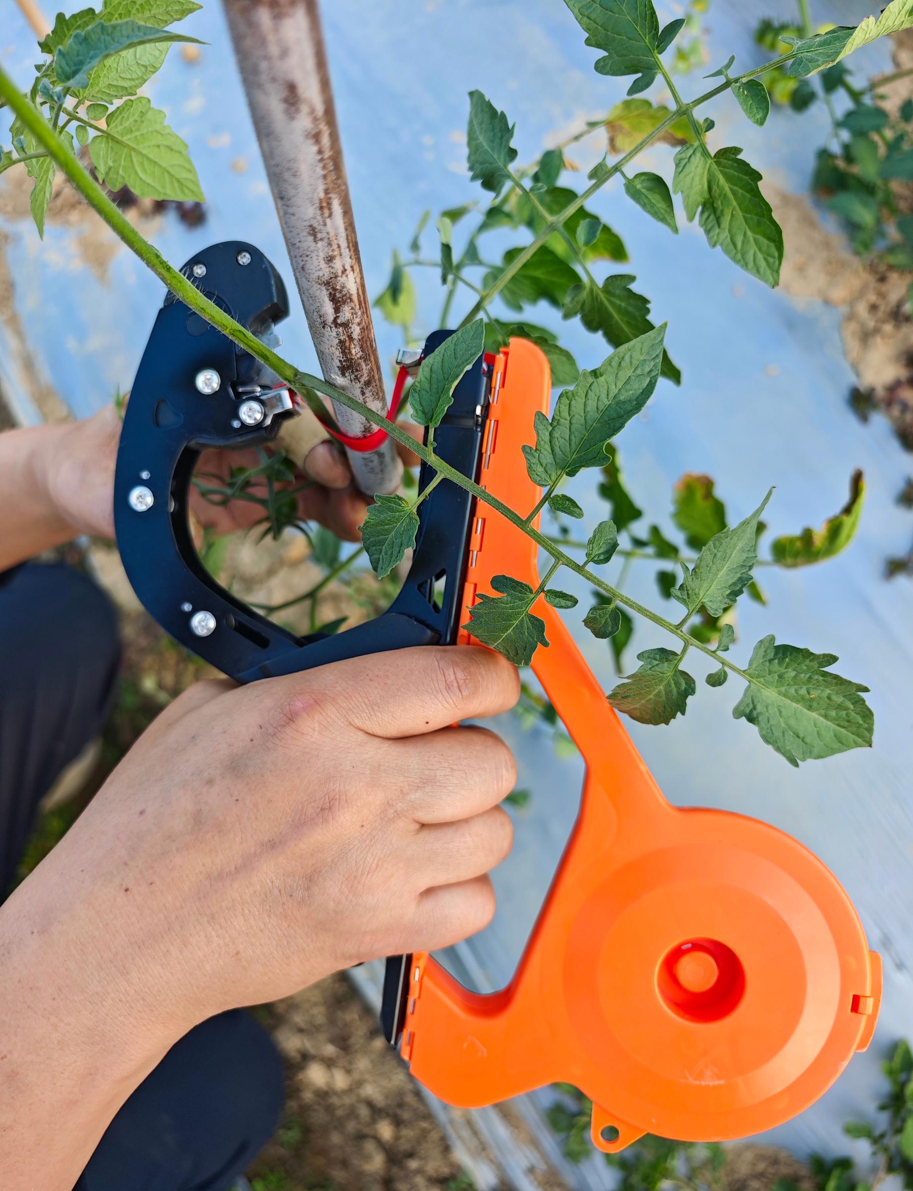 Handheld Plant Tying Machine No. 1 with Tape and Staples