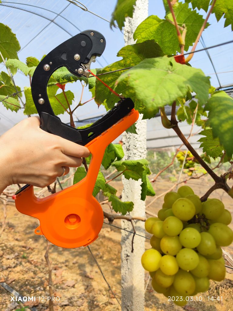 tomato tying machine
grape tying machine
handheld tying machine