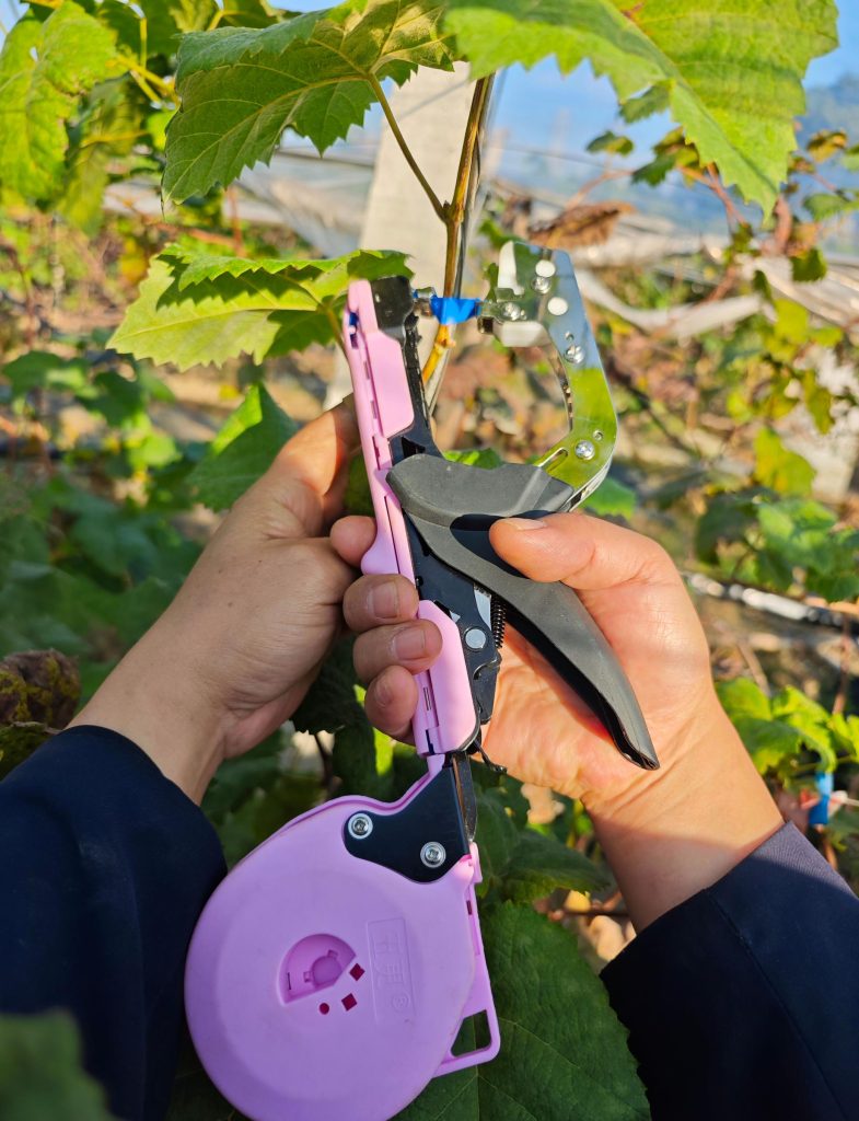 How to Use a Plant Tying Machine: A Complete Guide for Faster and Easier Plant Support