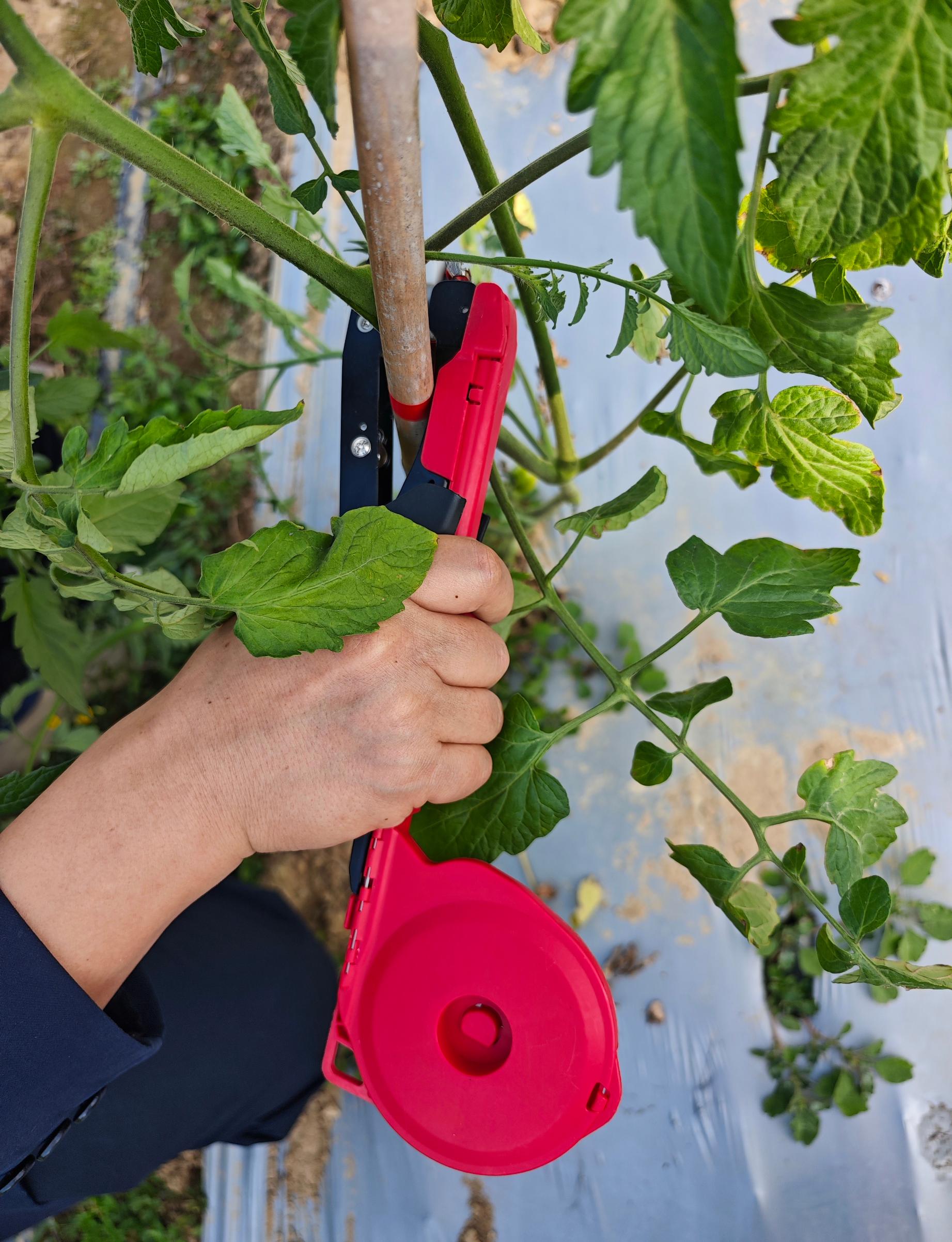 Handheld Plant Tying Machine No. 9 with Tape and Staples