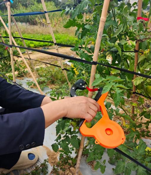 Automatic Plant Tying Machine: The Ultimate Tool for Efficient Gardening