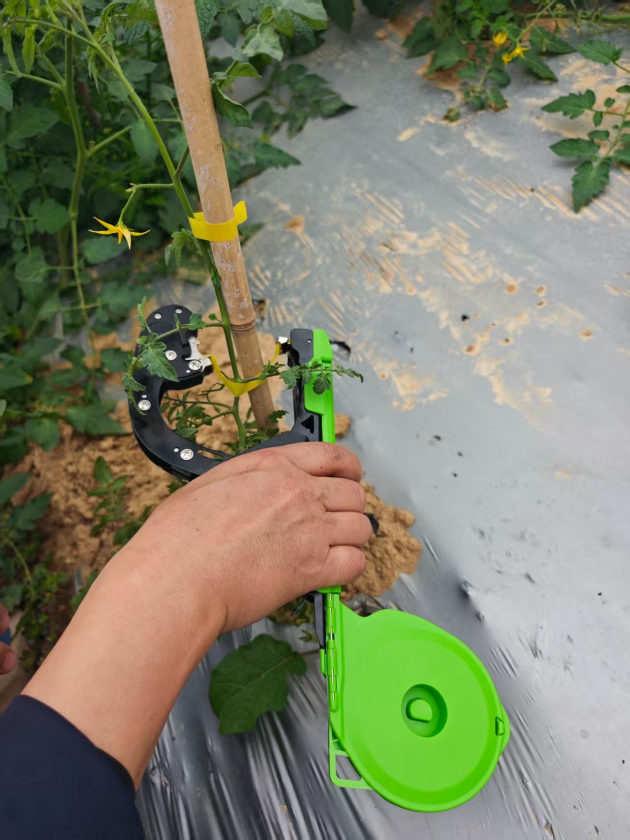 Handheld Plant Tying Machine No. 4 with Tape and Staples