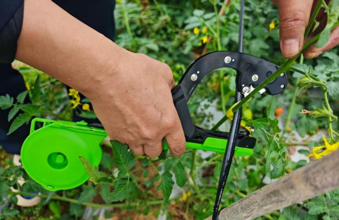 Manual Plant Tying Tool: A Faster Way to Support Crops and Vines