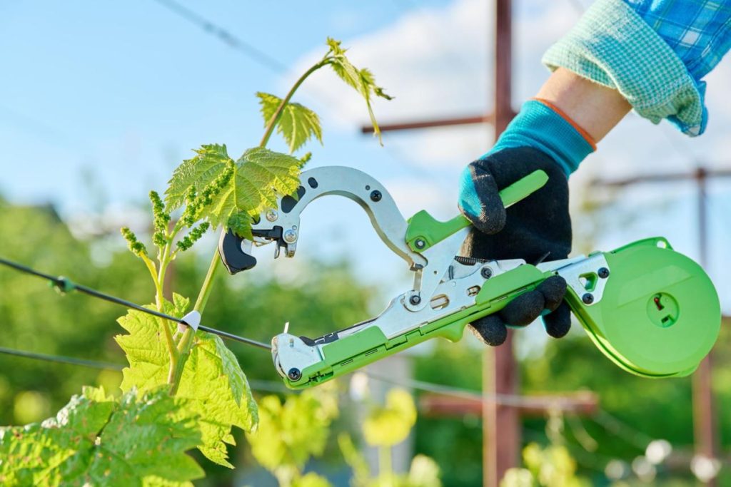 Plant tying tape