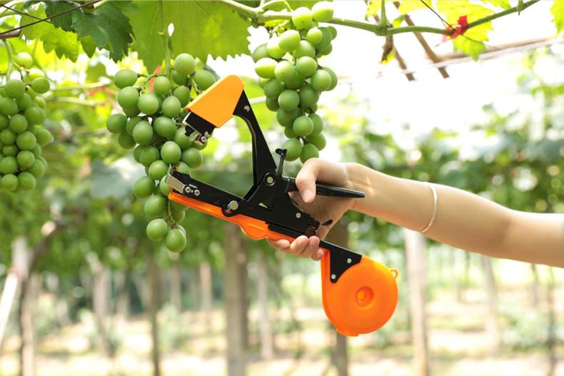 plant tying machine, tapetool tying machine, grape vine tying tool, tomato tying machine, plant tie tool, garden tying tape, tapener staples, vine tying machine, handheld tying machine