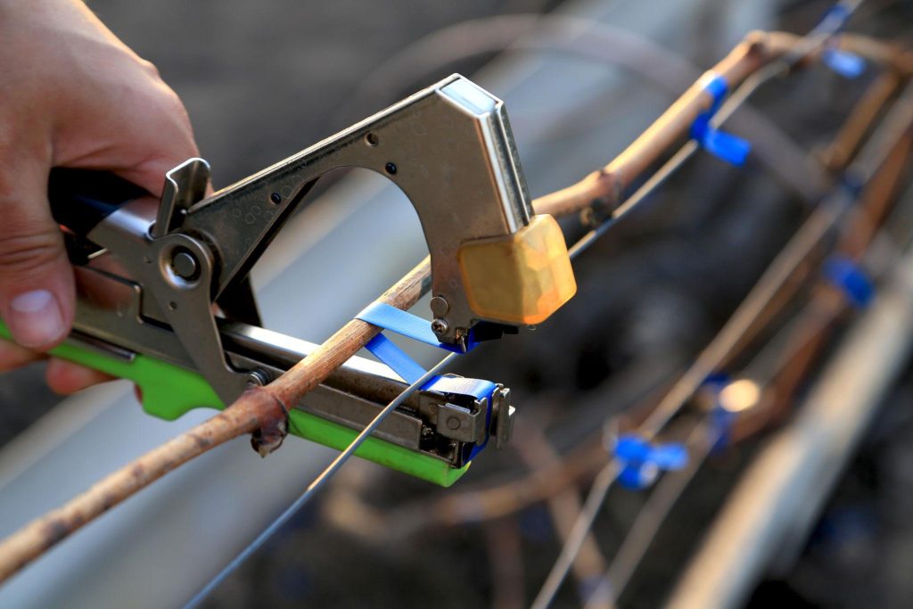 Get high-quality plant tying machines directly from the manufacturer:
https://nkc-tapetool.com