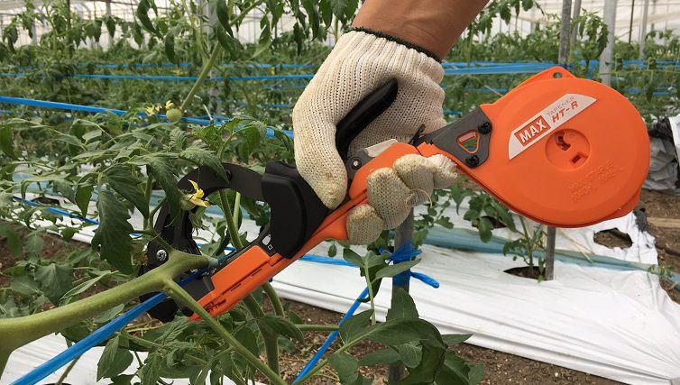 manual plant tying tomato vine
plant tying machine tapetool usage
grape vine tying machine trellis
plant tape and staples tool