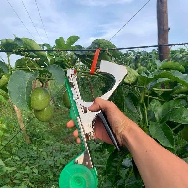 how to use plant tying machine step by step
tapetool loading tape and staples
grape vine tying machine trellis usage
plant tying tool tomato support