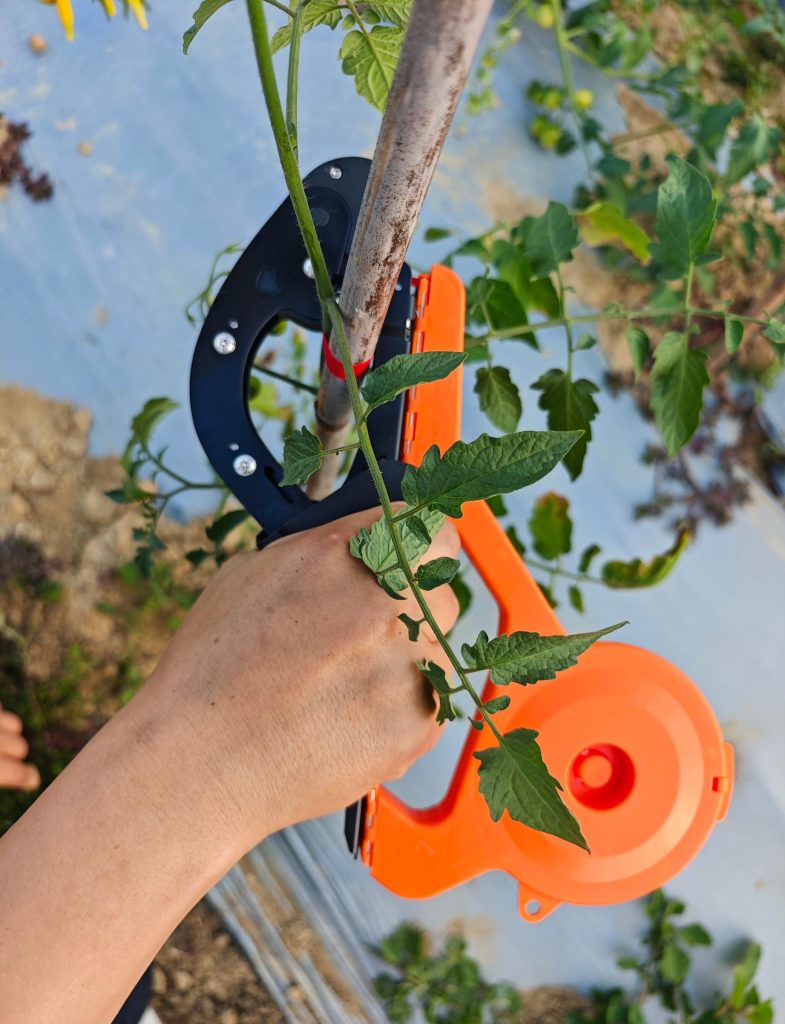 plant tying machine tool for tomatoes
grape vine tying machine usage
plant tape and staples for tying tool