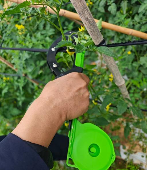 Plant Tying Machine FAQs (Beginner Guide)