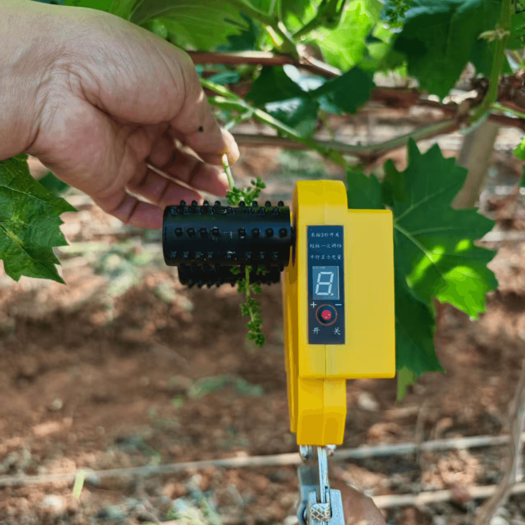 close up of electric flower thinner roller on grape cluster