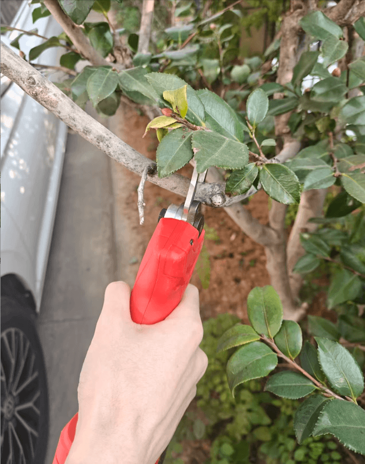 2.5CM Cordless Electric Pruning Shear with 1 Battery and 1 Charger