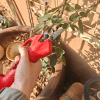 2.5CM Cordless Electric Pruning Shear with 1 Battery and 1 Charger