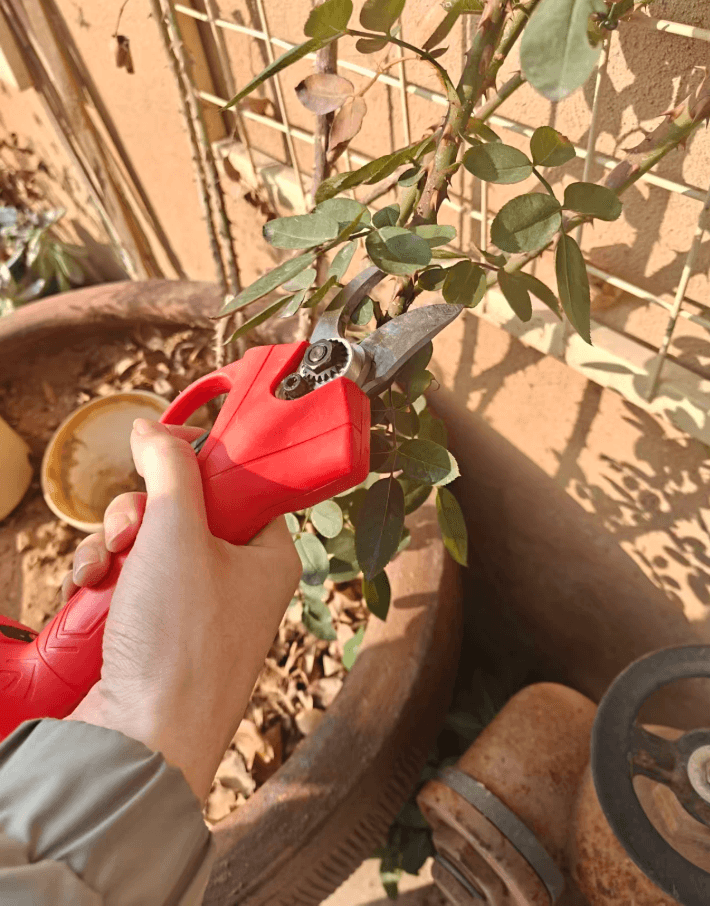 2.5CM Cordless Electric Pruning Shear with 1 Battery and 1 Charger
