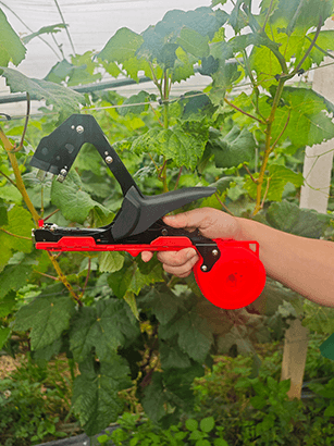 How a Plant Tying Tool Improves Efficiency in Vineyards and Greenhouses