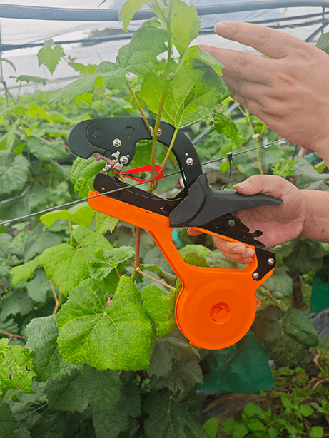 Model 1 Plant Tying Machine – Fast, Ergonomic, and Durable Vine Binding Tool