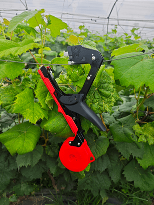 Why Model 3 Plant Tying Machine Is the Ideal Tool for Modern Farming